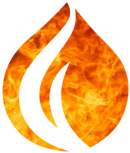 Flame Logo