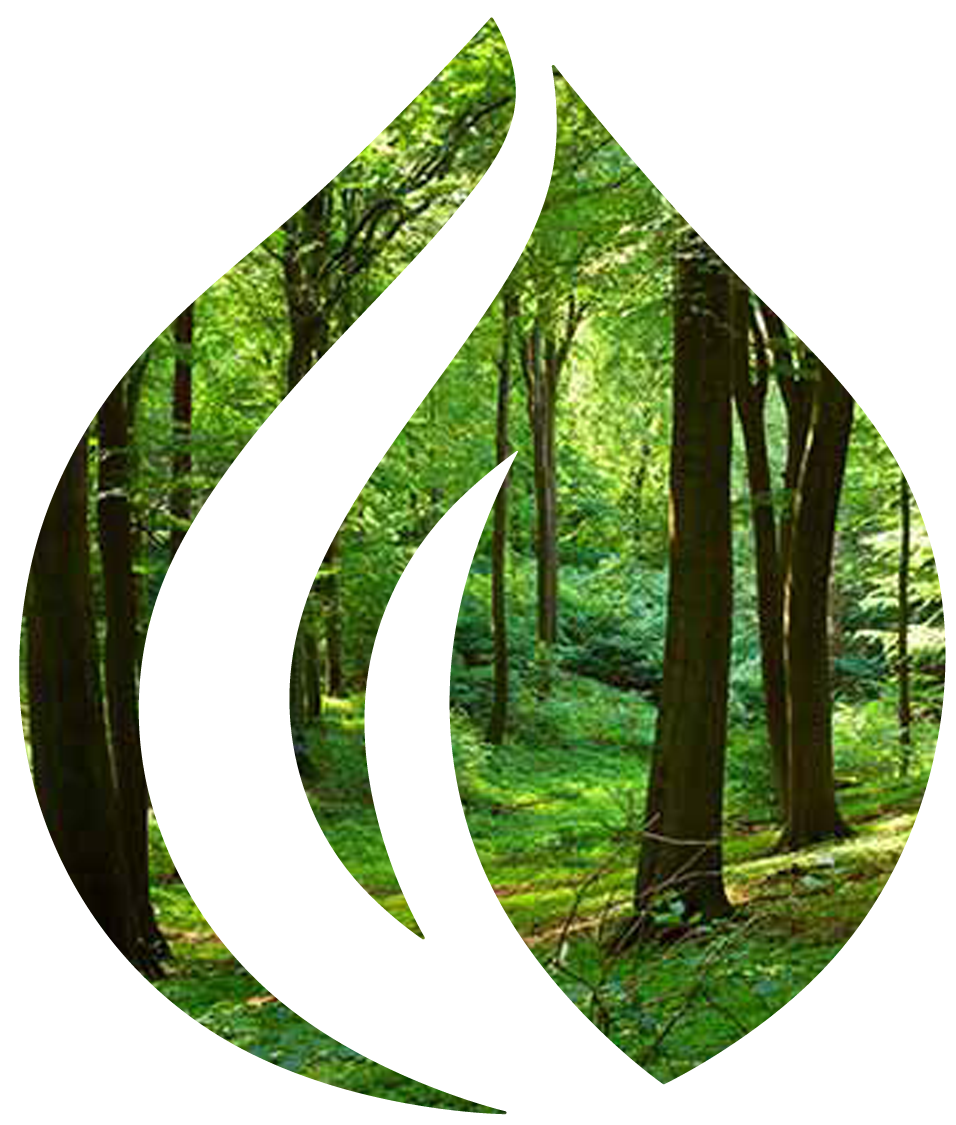 Forest fire logo